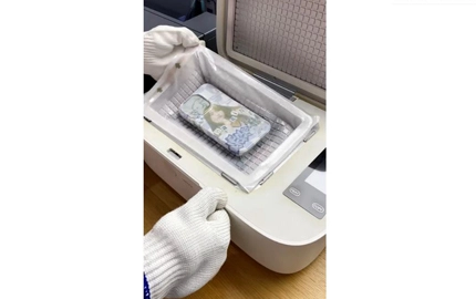 Onde estão os coelhinhos?